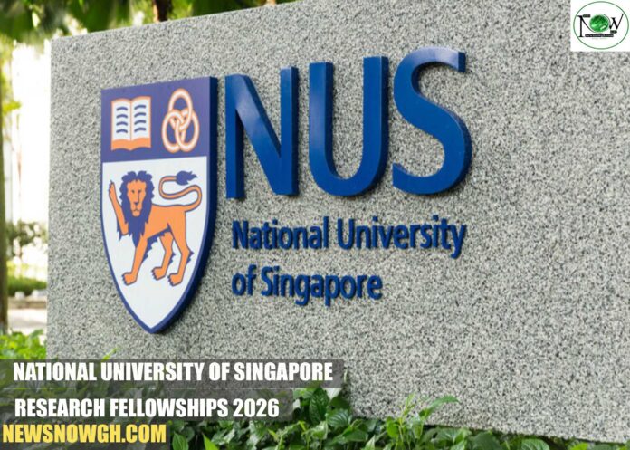 National University of Singapore Research Fellowships