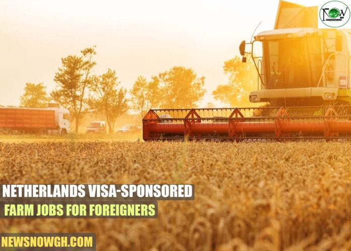 Netherlands Visa-Sponsored Farm Jobs for Foreigners