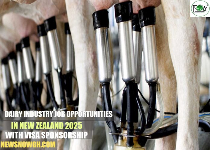 Dairy Industry Job Opportunities in New Zealand 2025 with Visa Sponsorship