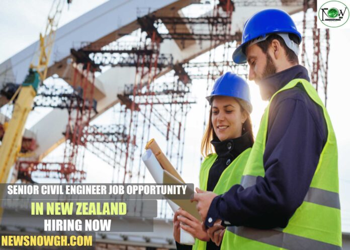 Senior Civil Engineer Job Opportunity in New Zealand | Hiring Now