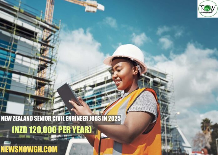 New Zealand Senior Civil Engineer Jobs in 2025