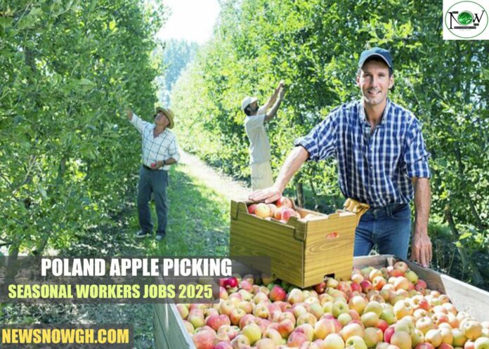 Poland Apple Picking Seasonal Workers Jobs 2025