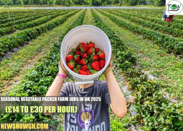 Seasonal Vegetable Packer Farm Jobs in UK 2025