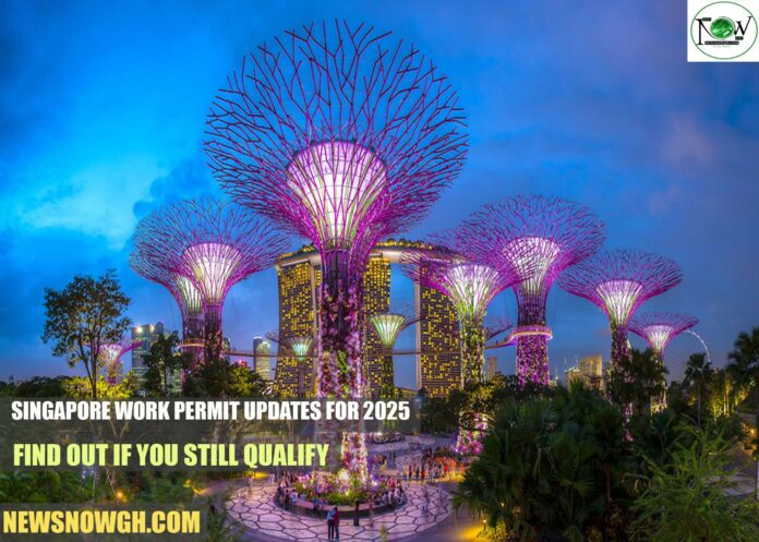 Singapore Work Permit Updates for 2025 – Find Out If You Still Qualify