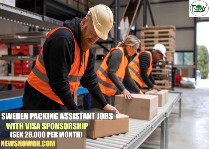 Sweden Packing Assistant Jobs