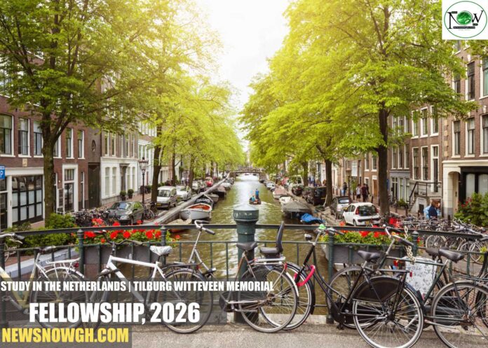 Tilburg Witteveen Memorial Fellowship