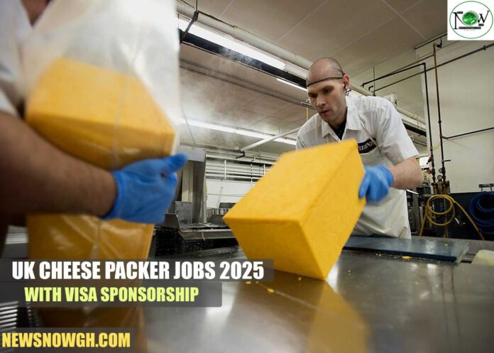 UK Cheese Packer Jobs 2025