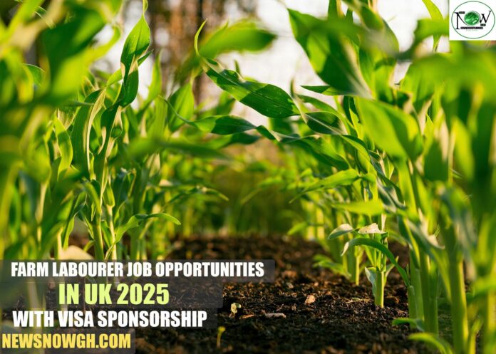 Farm Labourer Job Opportunities in UK 2025 with Visa Sponsorship