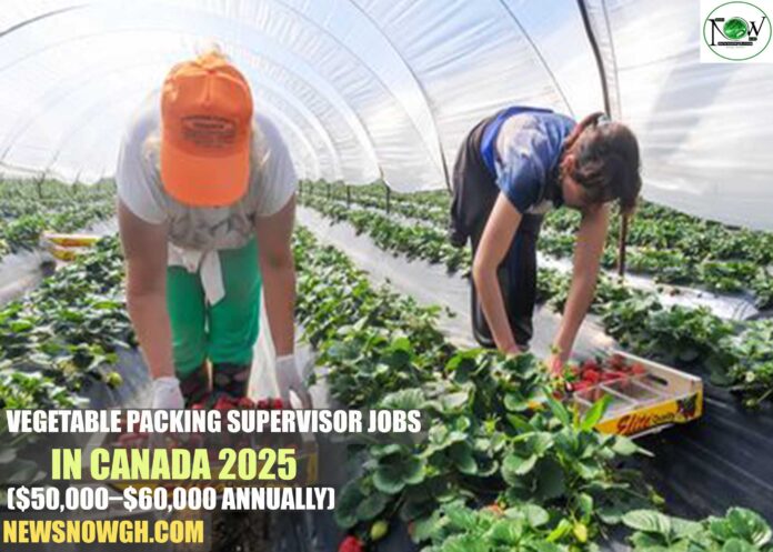 Vegetable Packing Supervisor Jobs in Canada 2025