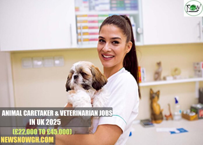 Animal Caretaker & Veterinarian Jobs in UK 2025
