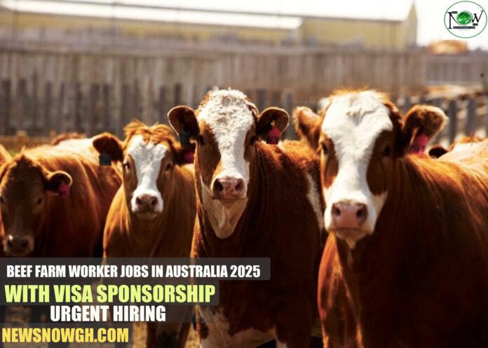 Beef Farm Worker Jobs in Australia 2025 with Visa Sponsorship | Urgent Hiring