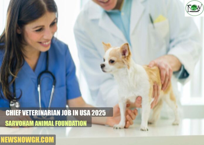 Chief Veterinarian Job in USA 2025 | Sarvoham Animal Foundation