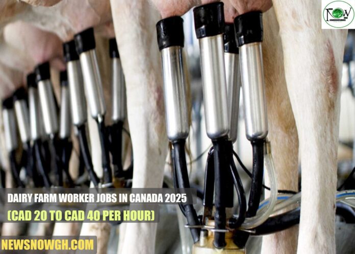 Dairy Farm Worker Jobs in Canada 2025