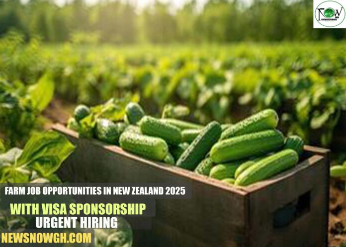 Farm Job Opportunities in New Zealand 2025 with Visa Sponsorship | Urgent Hiring