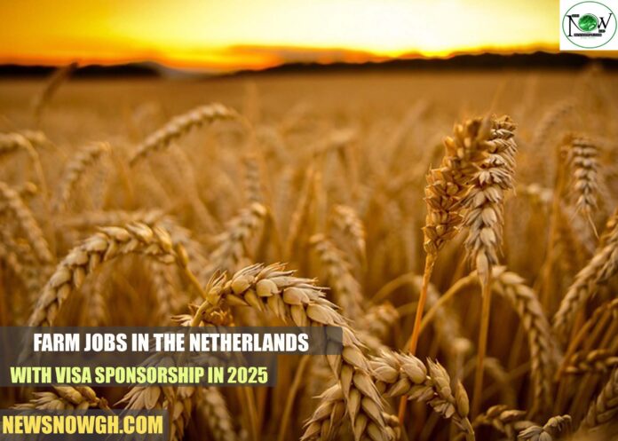 Farm jobs in the Netherlands
