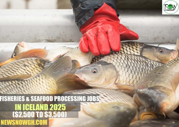 Fisheries & Seafood Processing Jobs in Iceland 2025