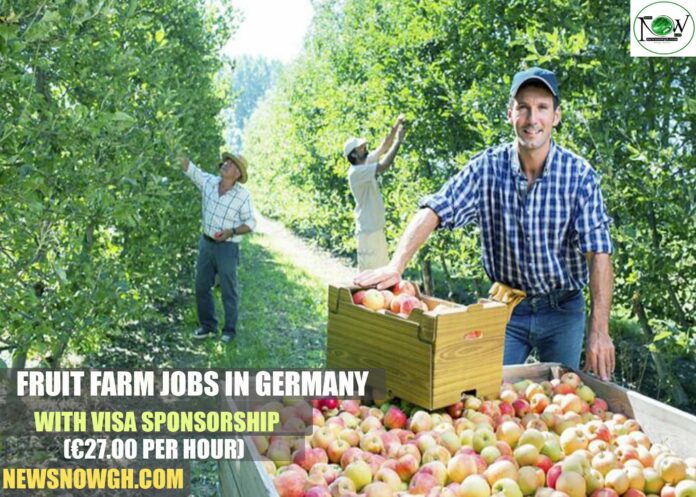 Fruit farm jobs in Germany