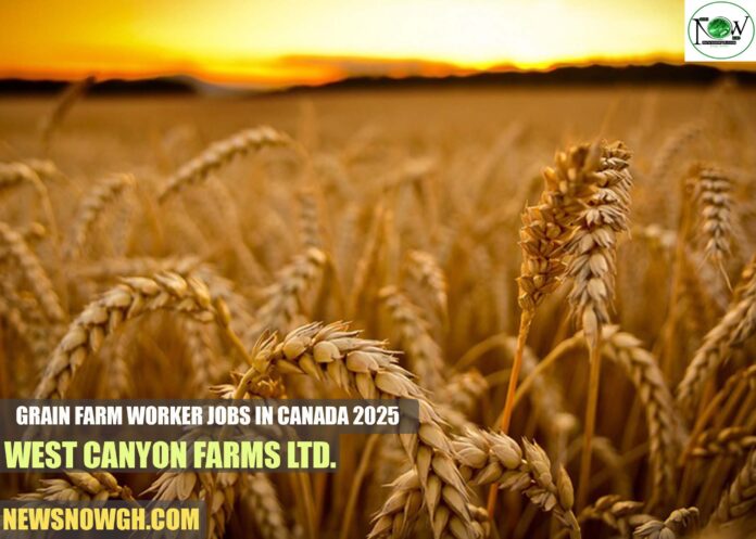 Grain Farm Worker Jobs in Canada 2025 | West Canyon Farms Ltd.