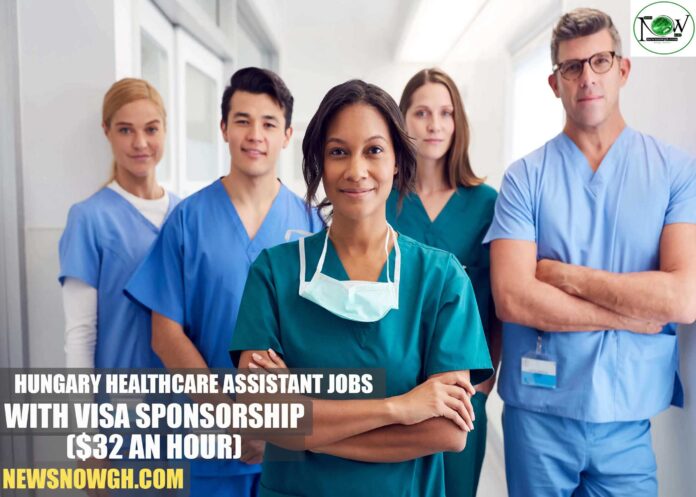 Hungary Healthcare Assistant Jobs