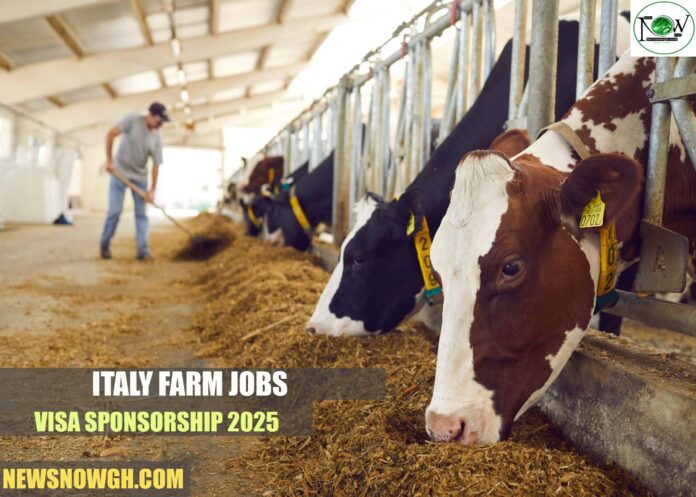 Italy Farm Jobs Visa Sponsorship