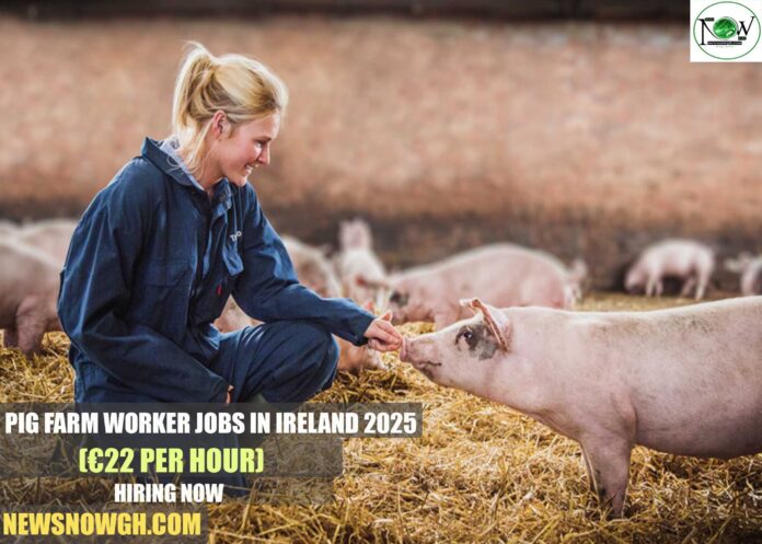 Pig Farm Worker Jobs in Ireland 2025 |