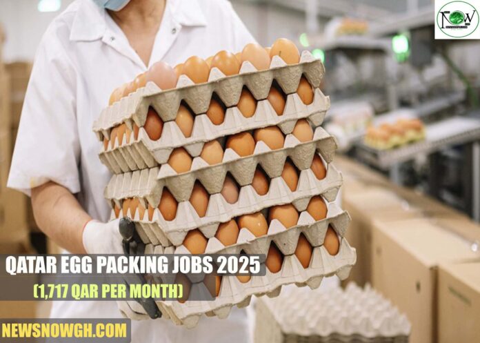 Qatar Egg Packing Jobs 2025