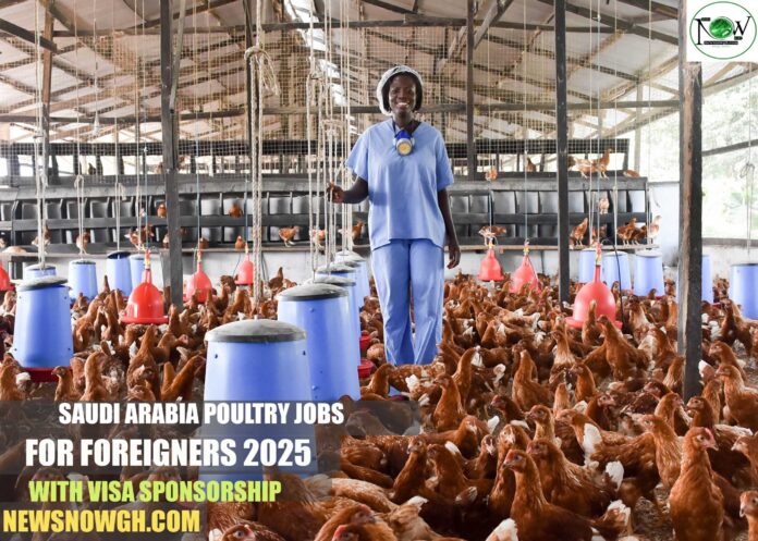 Saudi Arabia Poultry Jobs for Foreigners 2025