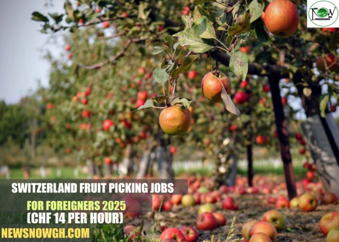 Switzerland Fruit Picking Jobs