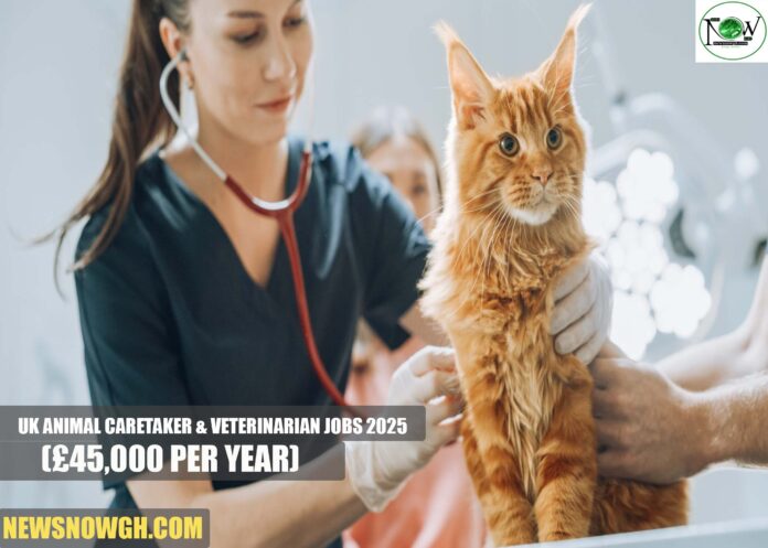 UK Animal Caretaker & Veterinarian Jobs 2025