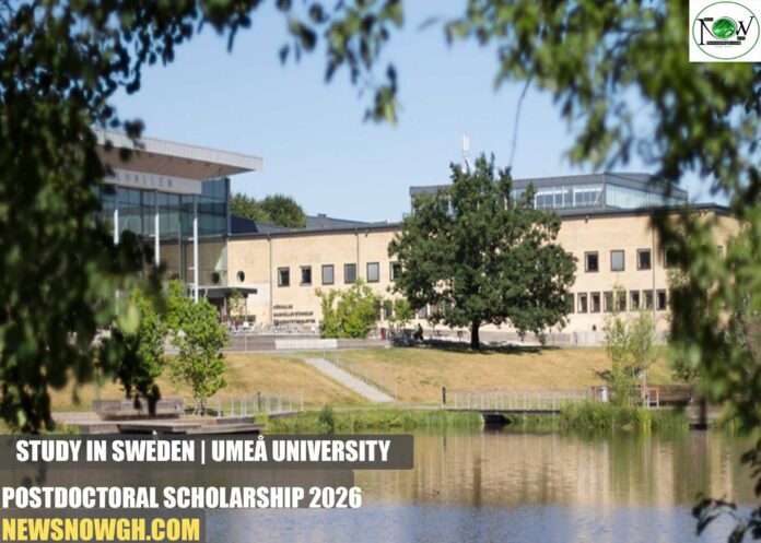 Umeå University Postdoctoral Scholarship