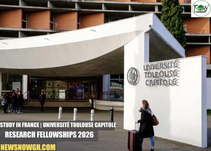 Université Toulouse Capitole Research Fellowships