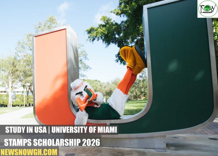 University of Miami Stamps Scholarship