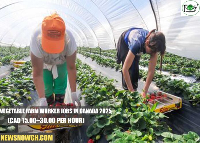 Vegetable Farm Worker Jobs in Canada 2025
