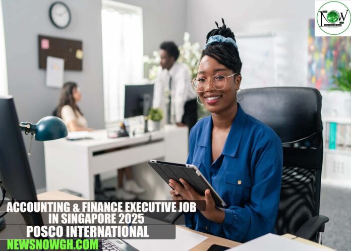 Accounting & Finance Executive Job in Singapore 2025 | POSCO INTERNATIONAL