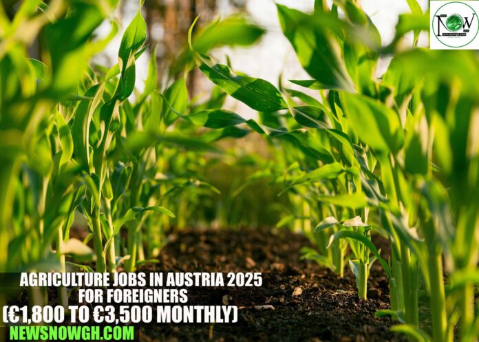 Agriculture Jobs in Austria 2025 For Foreigners