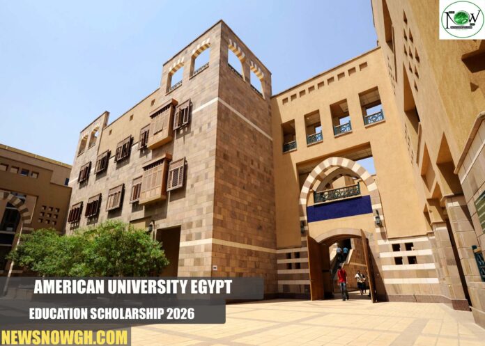 American University Egypt Education Scholarship