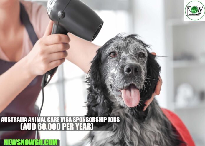 Australia Animal Care Visa Sponsorship Jobs