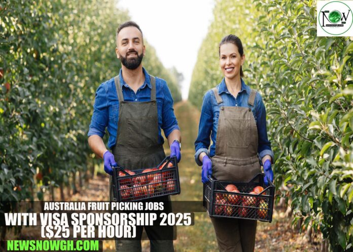 Australia Fruit Picking Jobs