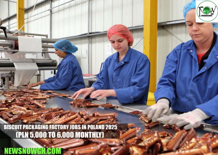 Biscuit Packaging Factory Jobs in Poland 2025
