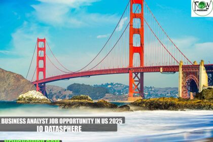Business Analyst Job Opportunity in US 2025 | IO Datasphere