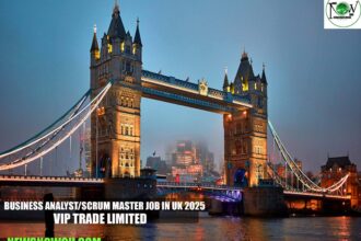 Business Analyst/Scrum Master Job in UK 2025 | VIP TRADE LIMITED