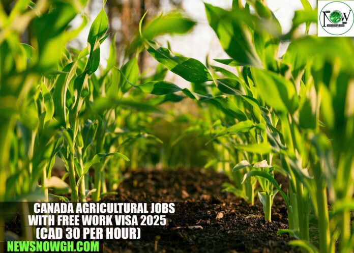 Canada Agricultural Jobs with Free Work Visa 2025