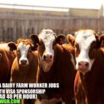 Canada Dairy Farm Worker Jobs