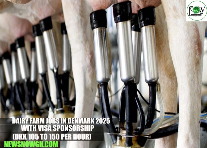 Dairy Farm Jobs in Denmark 2025 with Visa Sponsorship