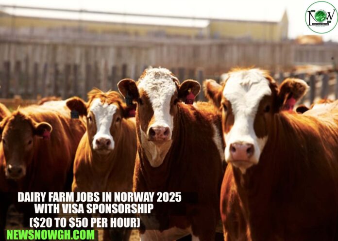 Dairy Farm Jobs in Norway 2025 with Visa Sponsorship