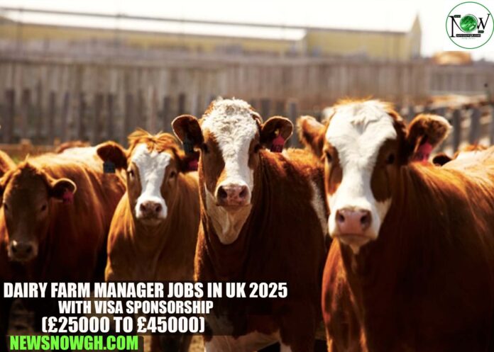 Dairy Farm Manager Jobs in UK 2025 with Visa Sponsorship