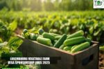 Luxembourg Vegetable Farm Visa Sponsorship Jobs