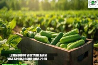 Luxembourg Vegetable Farm Visa Sponsorship Jobs