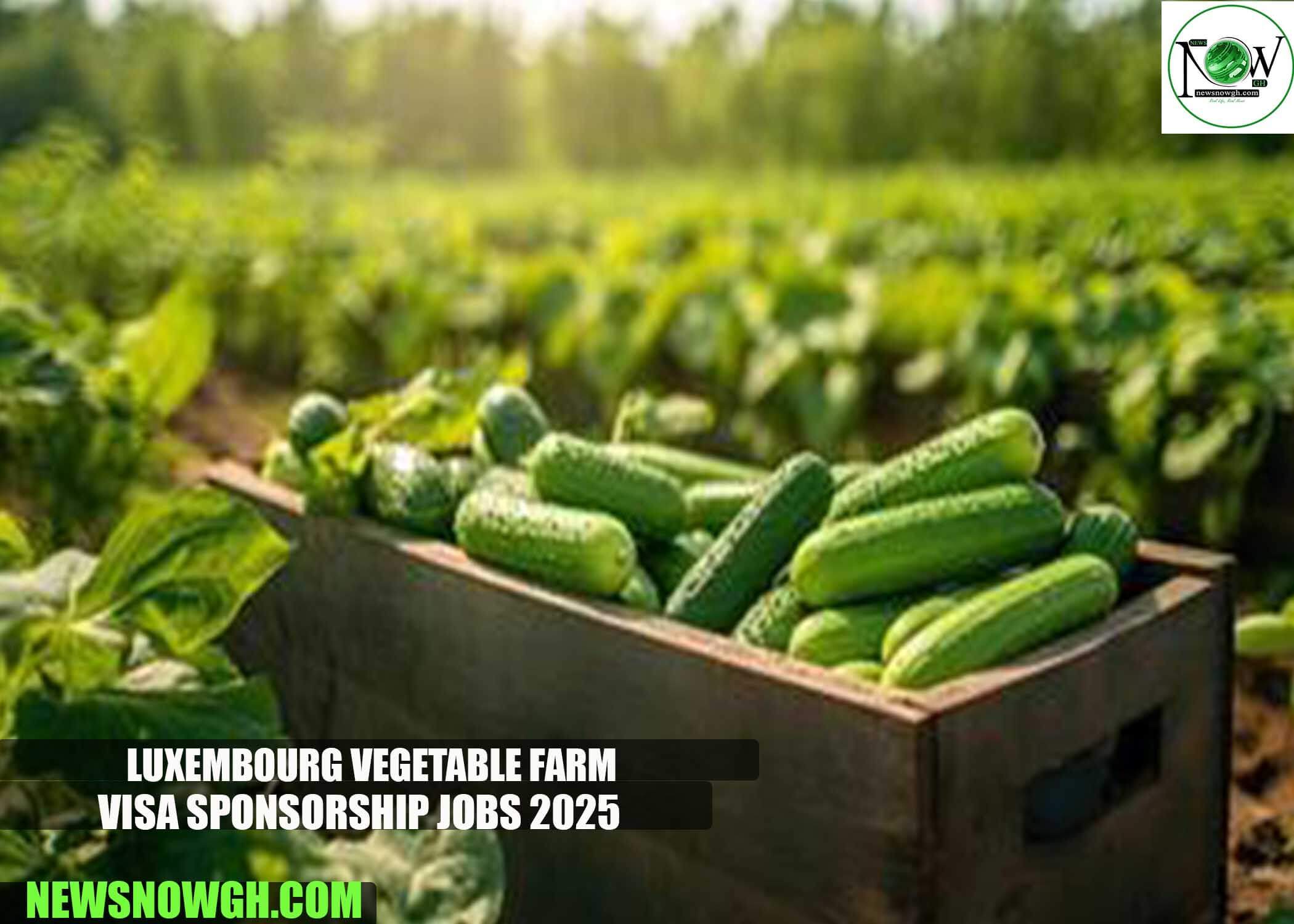 Luxembourg Vegetable Farm Visa Sponsorship Jobs