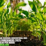 New Zealand Seasonal Agricultural Jobs